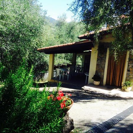 Casa Vacanze Uliveto Bordighera Exterior photo